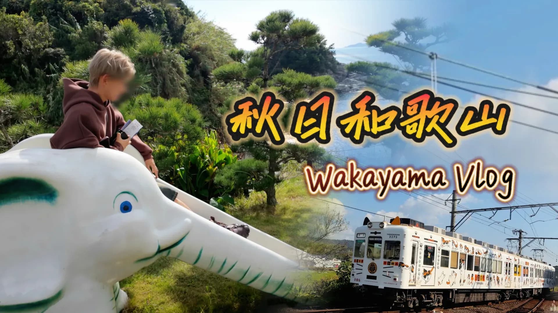 Wakayama Cat Train🐱🚄 & Our Sixth Year, Loved Back to a Smile😊