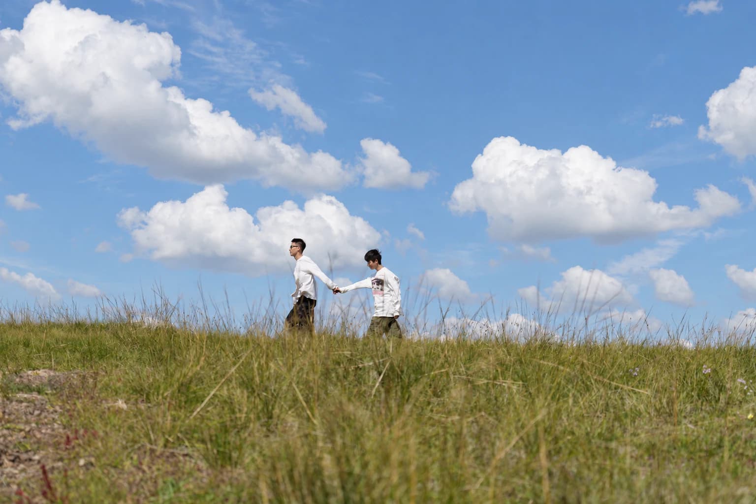 Two people holding hands in a grassy field beneath a blue sky.